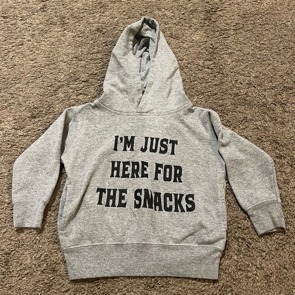 Rabbit Skins Other - Rabbit Skins Gray Hoodie with Bold Text